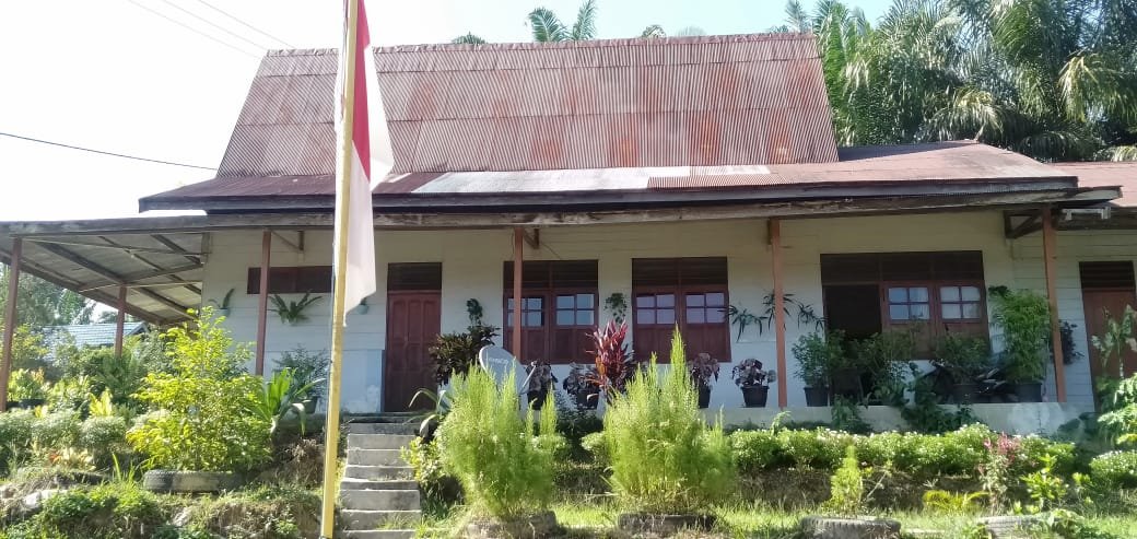 PIR BUTONG